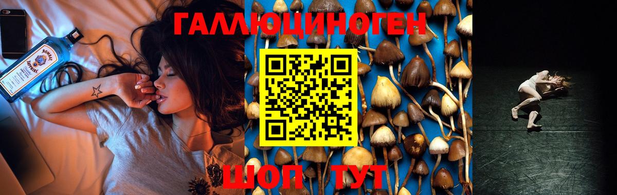 Псилоцибиновые грибы MAGIC MUSHROOMS Владимир